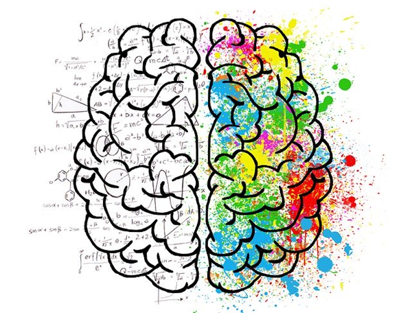 An image showing the rational and creative sides of our brain