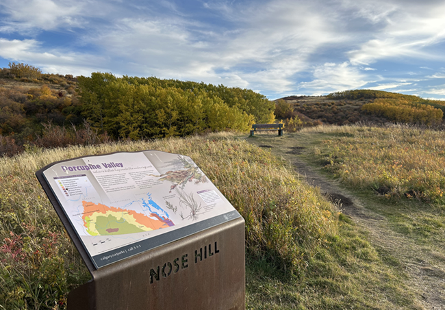 Nose Hill Park, Calgary. Photos shot by the author.